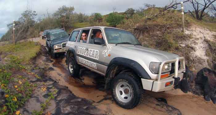 "Off-road vehicles navigating muddy tracks on Fraser Island, featured on digipdemo.com"